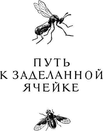 Жан-Анри Фабр - Жизнь насекомых. Рассказы энтомолога