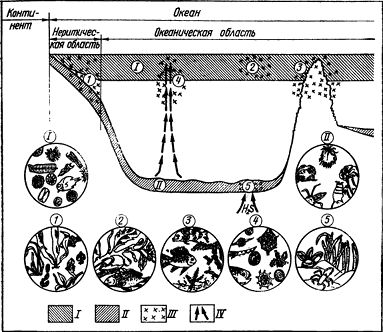 Андрей Лапо - Следы былых биосфер, или Рассказ о том, как устроена биосфера и...