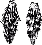 Жан-Анри Фабр - Жизнь насекомых. Рассказы энтомолога