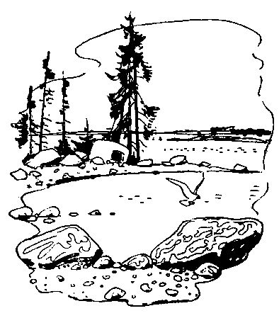 Анатолий Чехов - У самой границы