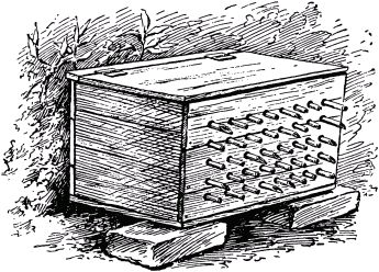 Жан-Анри Фабр - Жизнь насекомых. Рассказы энтомолога