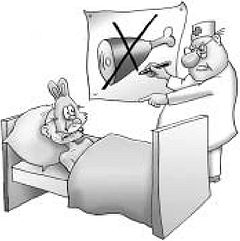 Константин Монастырский - Функциональное питание