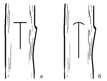 Галина Серикова - Прививка плодовых деревьев: распространенные ошибки и секреты...