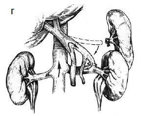 Коллектив авторов - Избранные лекции по факультетской хирургии: учебное пособие