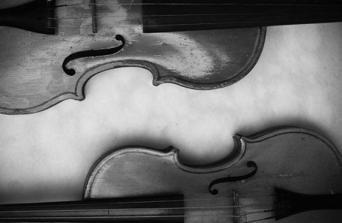 Ольга Зьомко, Дмитрий Сухаревский - Как заработать на фотографии в Интернете