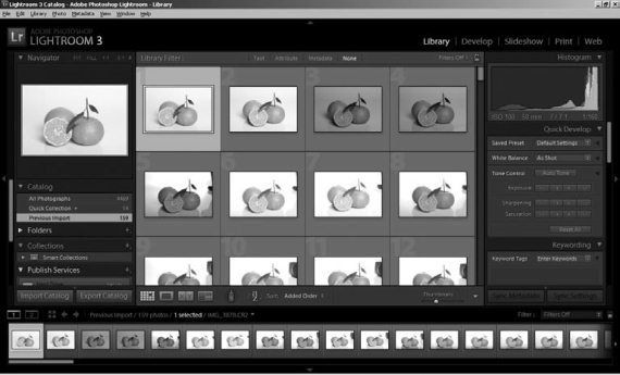 Ольга Зьомко, Дмитрий Сухаревский - Как заработать на фотографии в Интернете