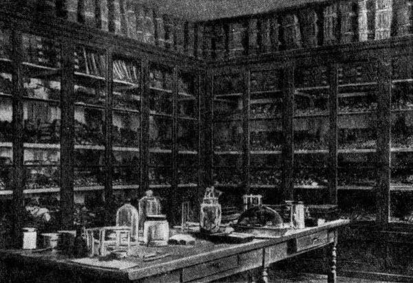 Жан-Анри Фабр - Жизнь насекомых. Рассказы энтомолога