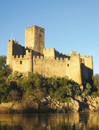 Делия Стейнберг Гусман - Тайный идеал тамплиеров