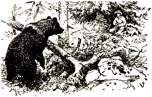 Валерий Янковский - Тигр, олень, женьшень