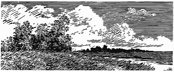 Михаил Пришвин - Том 3. Журавлиная родина. Календарь природы