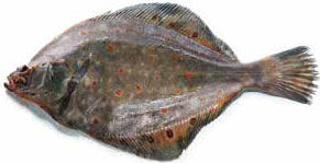 Кулинарная энциклопедия. Том 10. И-К...