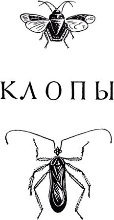 Жан-Анри Фабр - Жизнь насекомых. Рассказы энтомолога