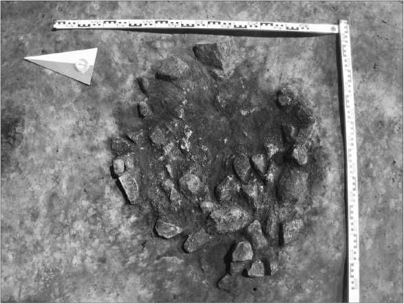 Петр Сорокин - Окрестности Петербурга. Из истории ижорской земли