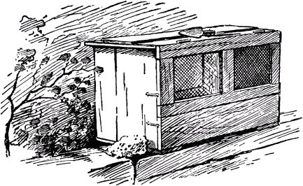 Жан-Анри Фабр - Жизнь насекомых. Рассказы энтомолога