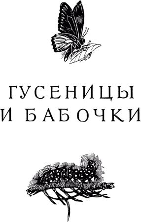 Жан-Анри Фабр - Жизнь насекомых. Рассказы энтомолога