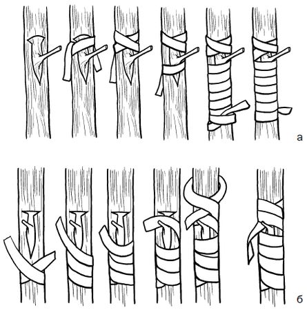 Галина Серикова - Прививка плодовых деревьев: распространенные ошибки и секреты...