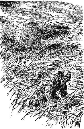 Владимир Арсеньев - По Уссурийскому краю