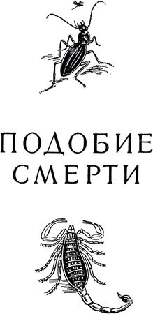 Жан-Анри Фабр - Жизнь насекомых. Рассказы энтомолога