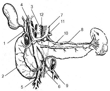 Коллектив авторов - Избранные лекции по факультетской хирургии: учебное пособие
