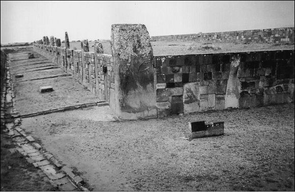 Надежда Ионина - 100 великих чудес света