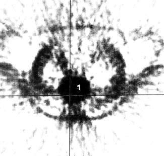 Коллектив авторов - Избранные лекции по факультетской хирургии: учебное пособие