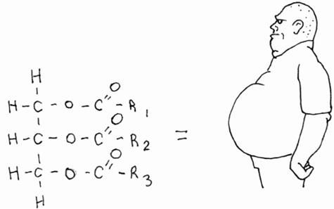 Робб Вулф - Палеодиета - живое питание для здоровья