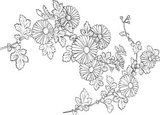 Сергей Есенин - Я обманывать себя не стану...