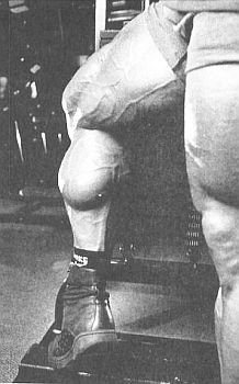 Арнольд Шварценеггер, Билл Доббинс - Новая энциклопедия бодибилдинга. Кн.2....