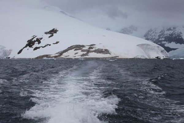 Владимир Ромашкин - Загадки исчезнувших цивилизаций. Часть I. Загадочная Антарктида