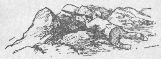 Владимир Обручев - Золотоискатели в пустыне