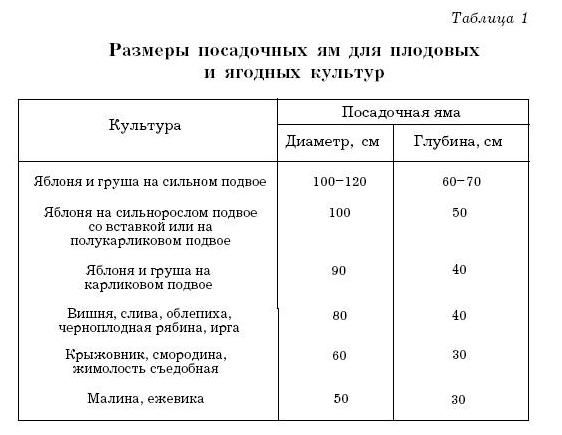 Оксана Петросян - Садовые деревья и кустарники