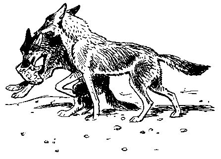 Анатолий Чехов - У самой границы