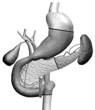 Коллектив авторов - Избранные лекции по факультетской хирургии: учебное пособие