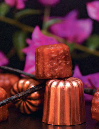 Надежда Бондаренко, Наталья Шинкарёва - Кулинарная энциклопедия. Том 10. И-К...