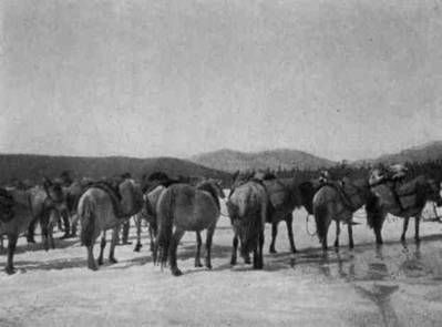 Сергей Обручев - В неизведанные края