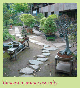 Мария Згурская - Китайский и японский сад