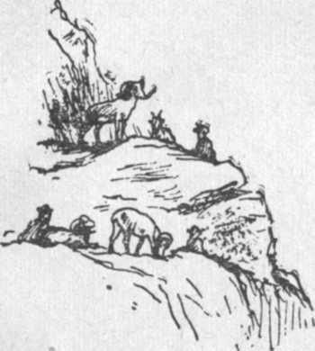 Владимир Обручев - Золотоискатели в пустыне