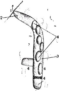 Жан-Анри Фабр - Жизнь насекомых. Рассказы энтомолога