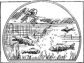 Андрей Лапо - Следы былых биосфер, или Рассказ о том, как устроена биосфера и...