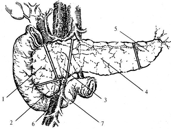 Коллектив авторов - Избранные лекции по факультетской хирургии: учебное пособие