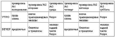 Новая энциклопедия бодибилдинга. Кн.2....