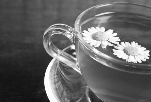 Ольга Зьомко, Дмитрий Сухаревский - Как заработать на фотографии в Интернете