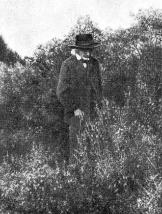 Жан-Анри Фабр - Жизнь насекомых. Рассказы энтомолога