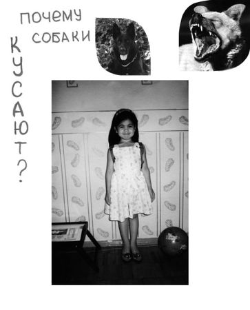 Николай Веракса, Александр Веракса - Проектная деятельность дошкольников....