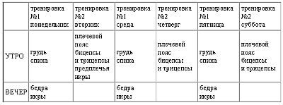 Новая энциклопедия бодибилдинга. Кн.2....