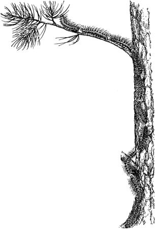 Жан-Анри Фабр - Жизнь насекомых. Рассказы энтомолога