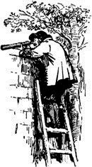 Александр Дюма - Чёрный тюльпан