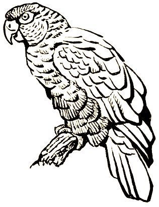 Владимир Дуров - Пернатые артисты