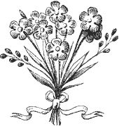 Сергей Есенин - Я обманывать себя не стану...