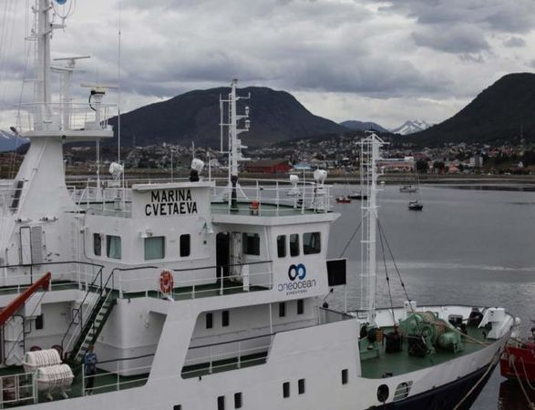 Владимир Ромашкин - Загадки исчезнувших цивилизаций. Часть I. Загадочная Антарктида